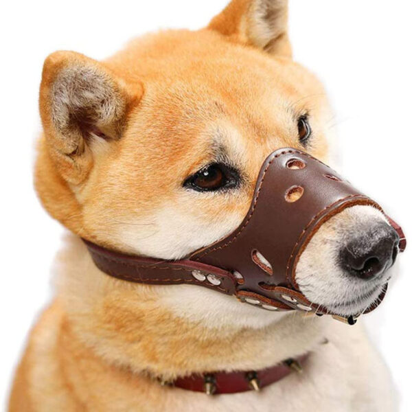 Bozal de cuerina para mascotas