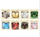 Sticker pvc serie mariposa 40p