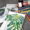 Lapiz de color watercolor MOBEE 12PC