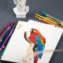Lapiz de color premium  MOBEE 24PC