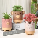 Maceta diseño cerdito 10*8cm