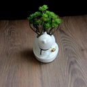 Maceta diseño gatito con base 12cm