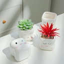 Maceta diseño carita 9*9cm