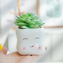 Maceta diseño carita 9*9cm