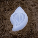 Molde de silicona diseño decorativo concha de mar 21*13cm