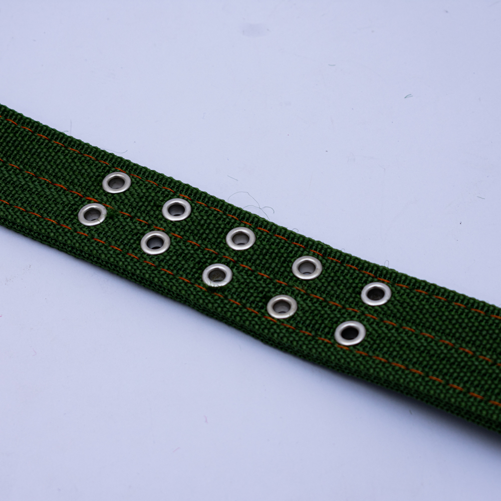 Collar para perro 65cm