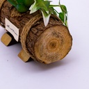 Plantera diseño de tronco con flores