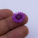 Flor seca 12 compartimientos