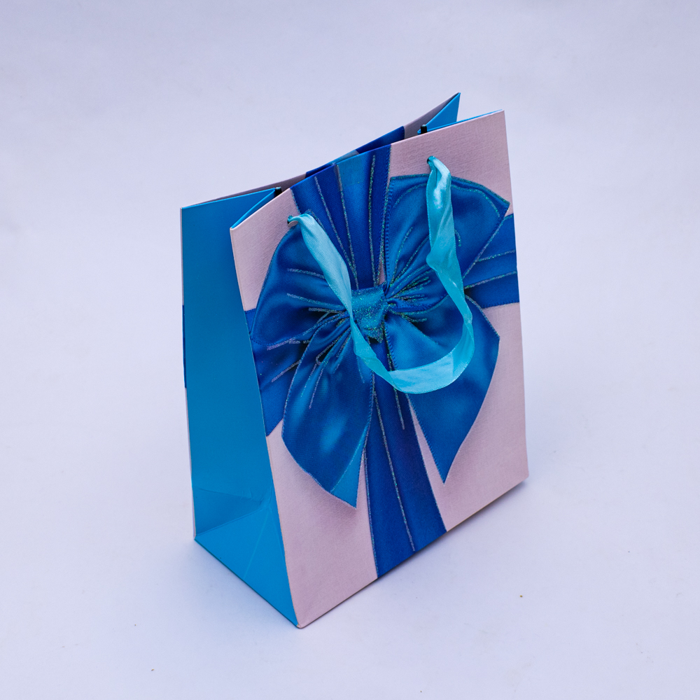 Bolsa de Regalo con moño 18*24*8.5cm