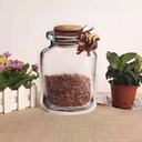 Bolsita para alimento 10 piezas 20*13cm