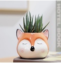 Maceta diseño gatito 7*9cm