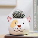 Maceta diseño gatito 7*9cm