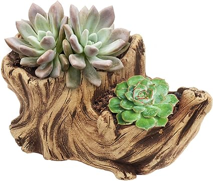 Maceta diseño de tronco 2 divisorias