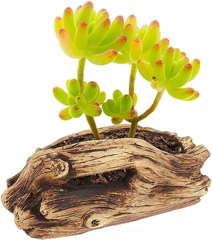 Maceta diseño de tronco 9*9.5cm