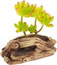 Maceta diseño de tronco 9*9.5cm