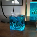 Molde silicona transparente cubo 50*50*50mm