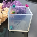 MS CUBO TRANSPARENTE 50*50*50MM