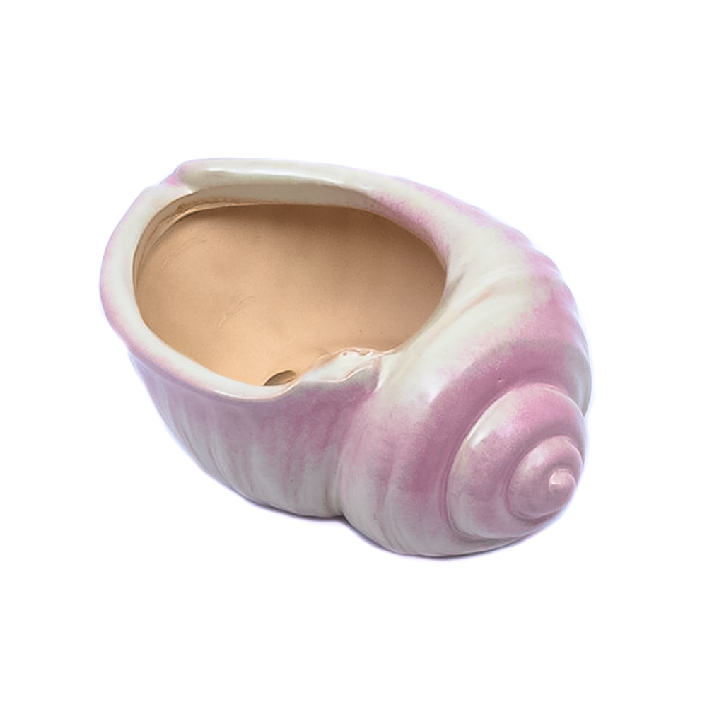 Maceta forma de caracol 9.5*7.5*1cm