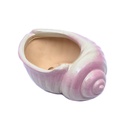 Maceta forma de caracol 9.5*7.5*1cm