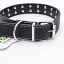 Collar con tacha para perro 63cm