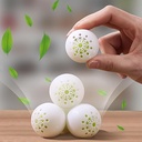 Desodorante para calzado 20g 6 piezas