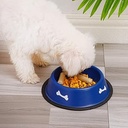 Plato para mascota de metal 30cm
