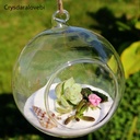 Florero terrario de vidrio para colgar 10cm