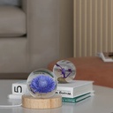 Molde de silicona bola 3d 30*31mm