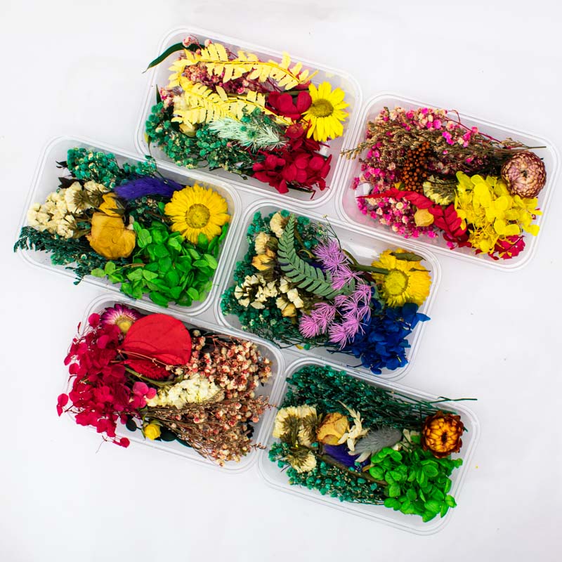 Flor seca de bricolage surtido