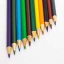 Lápiz de 12 Colores