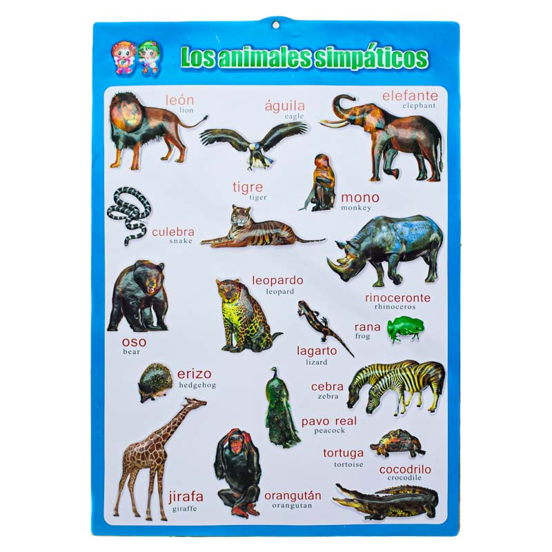 Lamina de aprendizaje