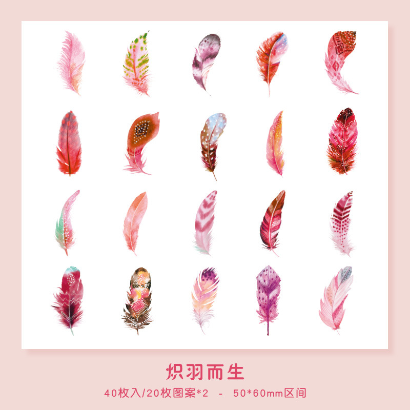 Sticker pvc diseño de pluma 40pc