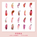 Sticker pvc diseño de pluma 40pc