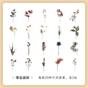 Sticker pvc de flores