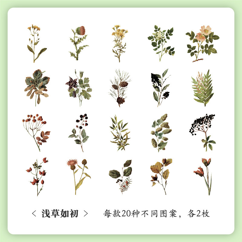 Sticker pvc de flores