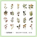 Sticker pvc de flores