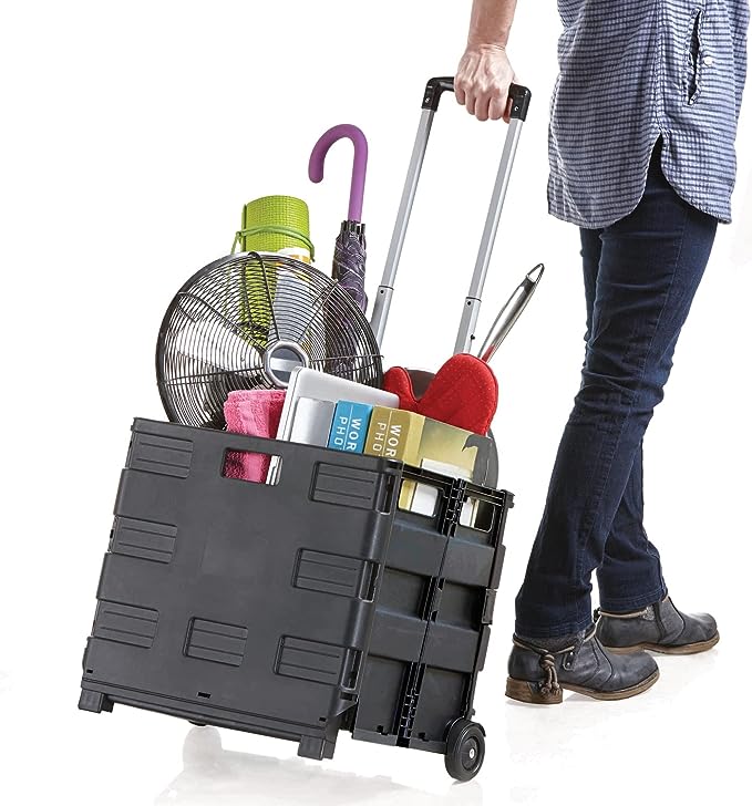 Carrito transportador 40l capacidad máx. 50kg