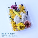 Flor seca de bricolage