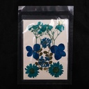 Flor seca tono mix