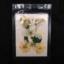 Flor seca tono mix