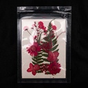 Flor seca tono mix