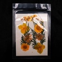 Flor seca tono mix
