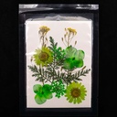 Flor seca tono mix