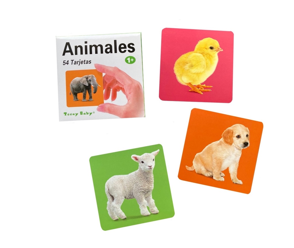 Tarjeta de aprendizaje animales 54pc