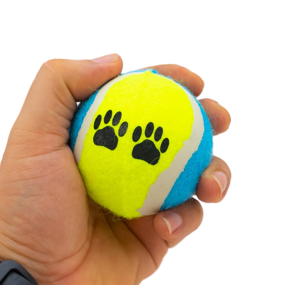 Pelota de tenis para mascota 2 piezas