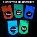 Pigmento LUMINOSO 20g