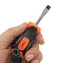 Destornillador 10cm EXPRESOL