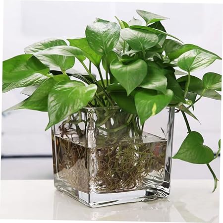 Frasco de vidrio cuadrado 11*11cm 1090ml