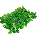 Alfombra de hojas con flor 40*60cm