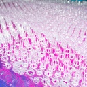 Alfombra antideslizante 34*64cm EXPRESOL